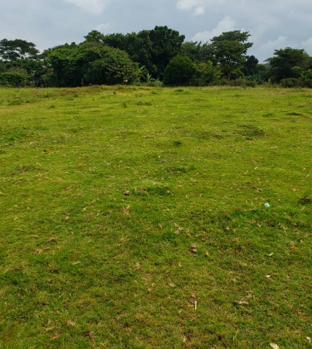 WhatsApp Image 2022-07-15 at 8.51.44 PM.jpeg